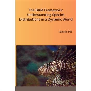 The BAM Framework