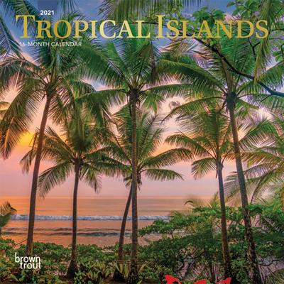 Tropical Islands 2021 Mini 7x7 Foil