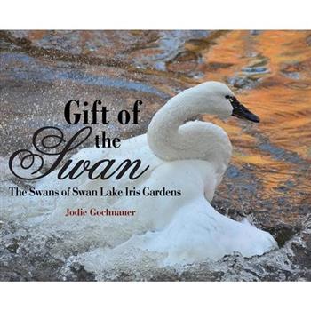 Gift of the Swan