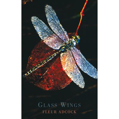 Glass Wings