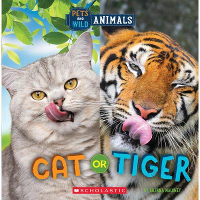 Cat or Tiger (Wild World: Pets and Wild Animals) | 拾書所