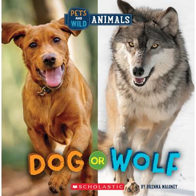 Dog or Wolf (Wild World: Pets and Wild Animals) | 拾書所