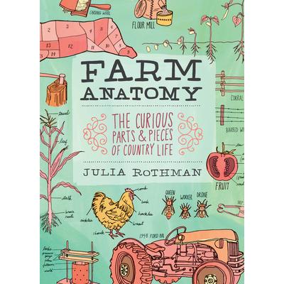 Farm Anatomy