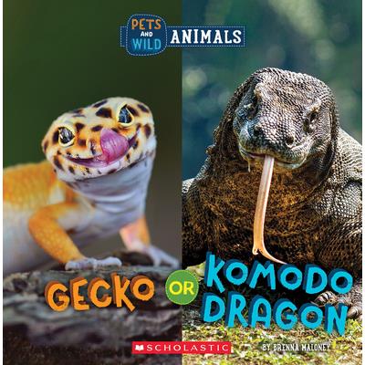 Gecko or Komodo Dragon (Wild World: Pets and Wild Animals) | 拾書所