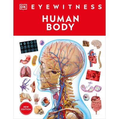 Eyewitness Human Body