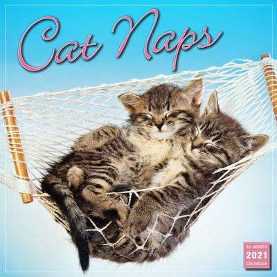 2021 Cat Naps 16-Month Wall Calendar