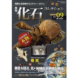 月刊化石收集Vol.9 新生代貝殼化石－金石堂