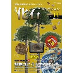 月刊化石收集Vol.11 地球和古生物的神秘歷史－金石堂