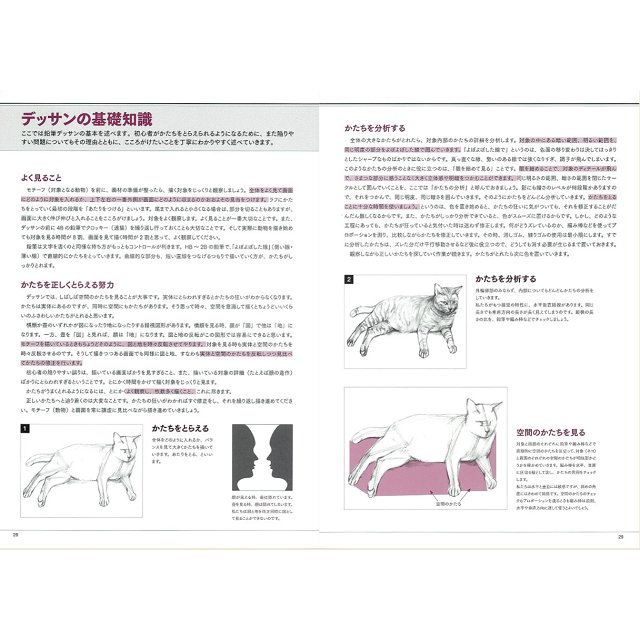 動物素描基礎－以美術解剖學為基礎－金石堂