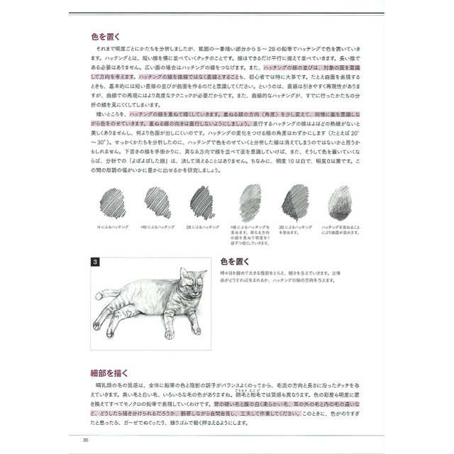 動物素描基礎－以美術解剖學為基礎－金石堂