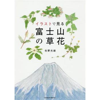 用插畫看富士山的花草