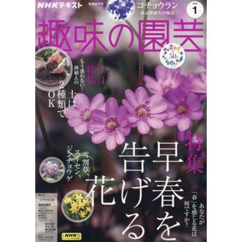 NHK 教科書   趣味的園藝  1 月號  2024